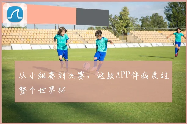 从小组赛到决赛,这款APP伴我度过整个世界杯