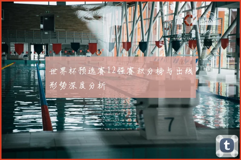 世界杯预选赛12强赛积分榜与出线形势深度分析