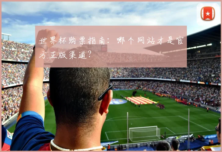 世界杯购票指南:哪个网站才是官方正版渠道?