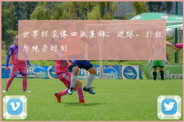 世界杯录像回放集锦：进球、扑救与绝杀时刻