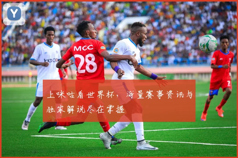 上咪咕看世界杯，海量赛事资讯与独家解说尽在掌握